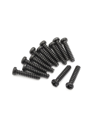 Surub cap rotund PBHO 2.6x12mm   Blackzon Slyder FTX 12 buc