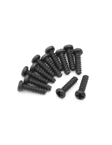Surub cap rotund PBHO 2x8mm  Blackzon Slyder FTX 12 buc