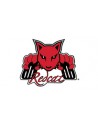 Redcat Racing